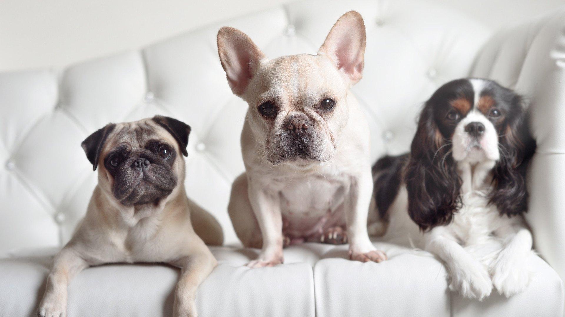 近年来热门电影