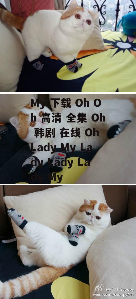 My 下载 Oh Oh 高清 全集 Oh 韩剧 在线 Oh Lady My Lady Lady Lady My